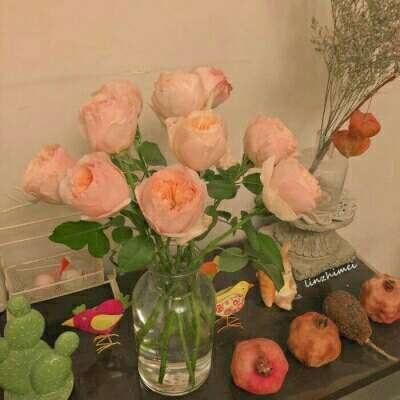 今期澳门三肖三码开一码