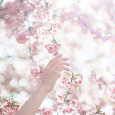 新天地棋牌下载手机版